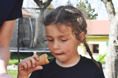 IMG-20250413-WA0010